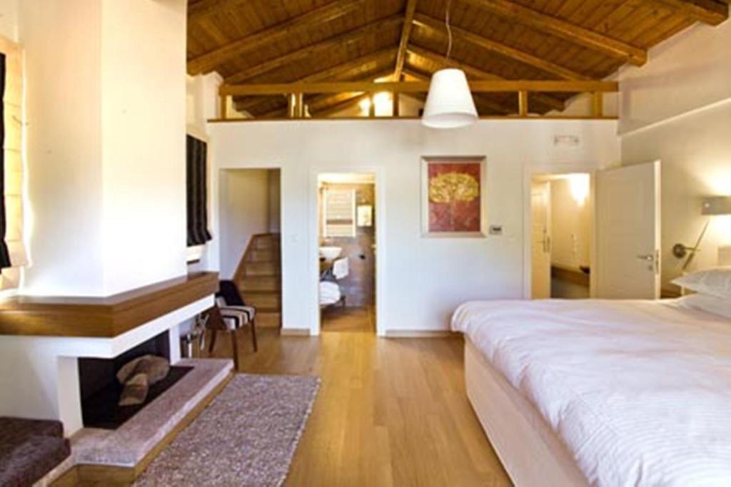 Enastron Guesthouse Dimitsana Rum bild